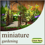 Miniature Gardening
